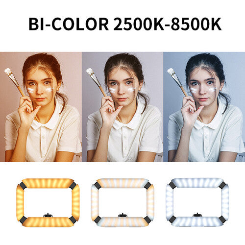Ulanzi U200 Smartphone and Camera Cage with lighting